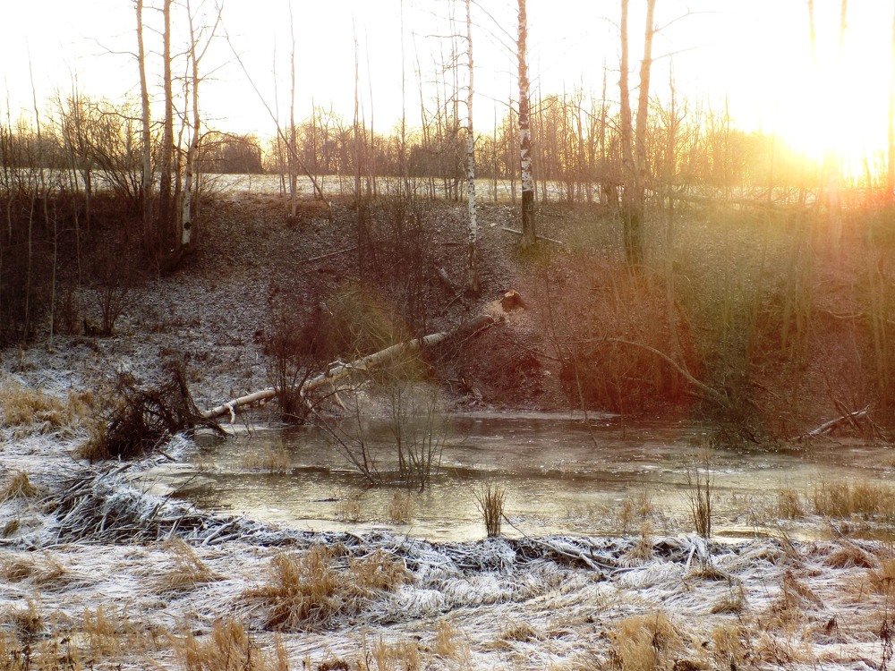 Photograph by Валентина Смирнова