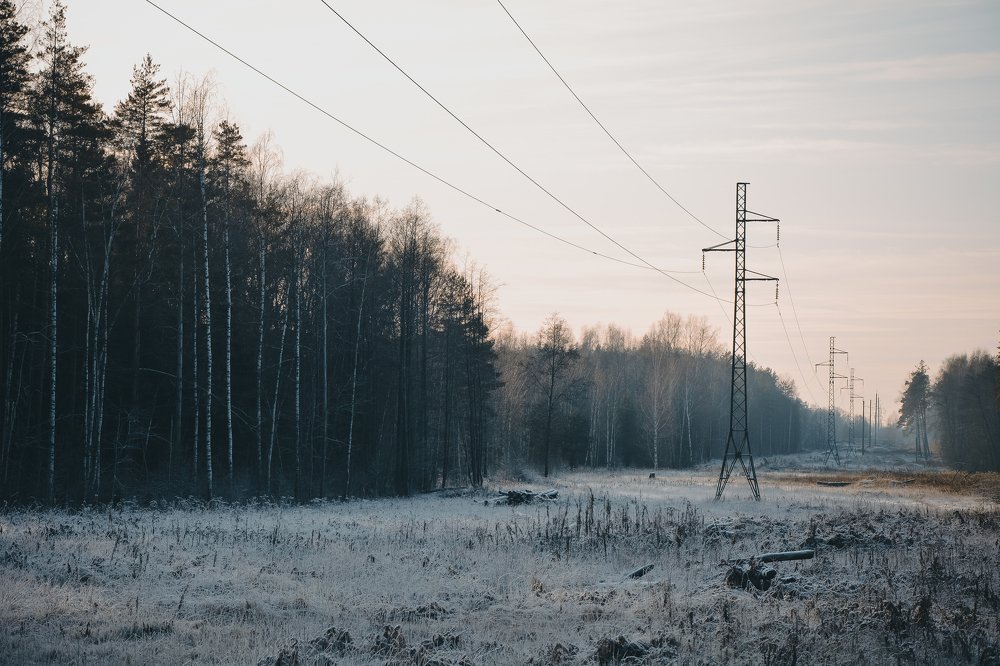 Photograph by Алена Николаева