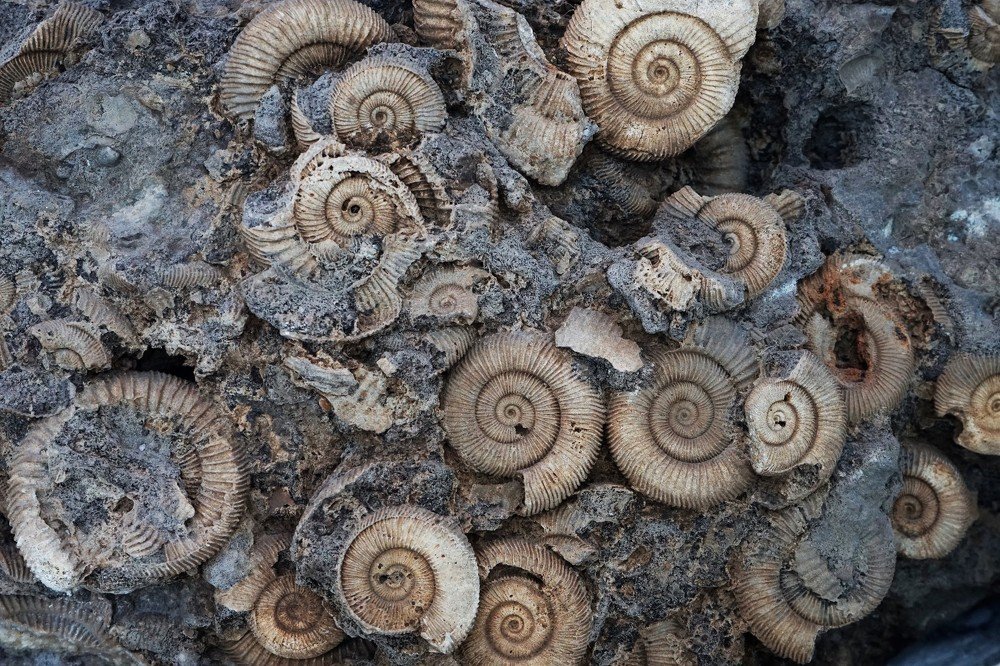 Photograph by Наталия Маслова