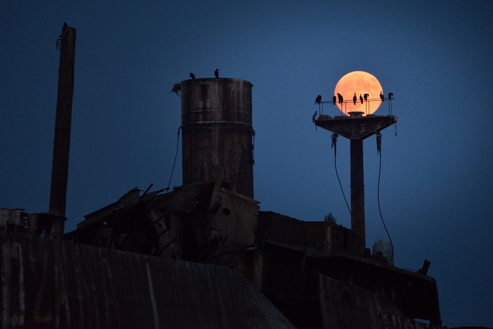 Photograph by Luca Arsinel