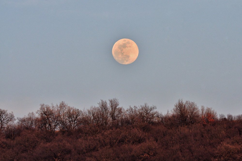 Photograph by Luca Arsinel