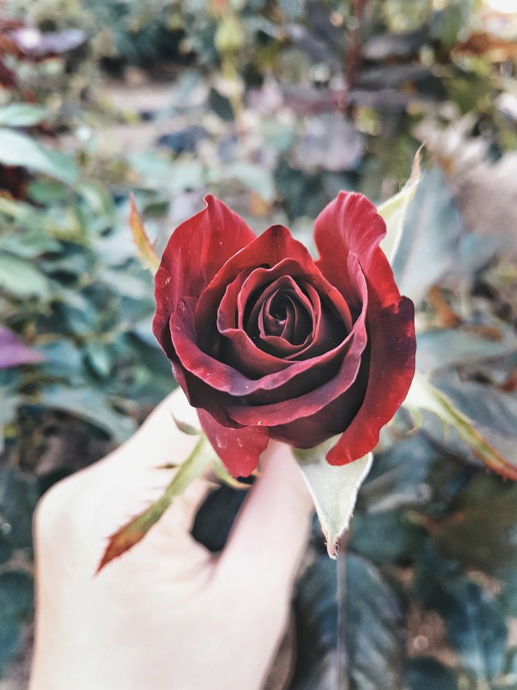 Photograph by Наталья Яновская