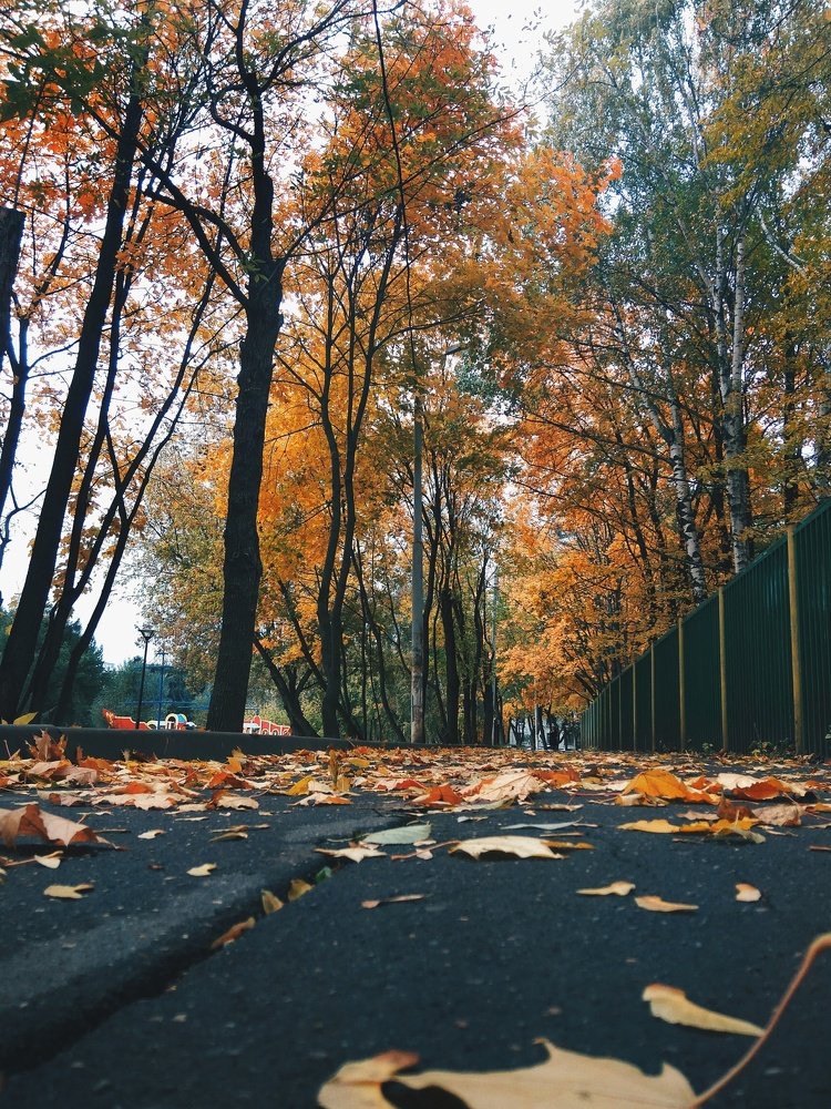 Photograph by Наталья Яновская