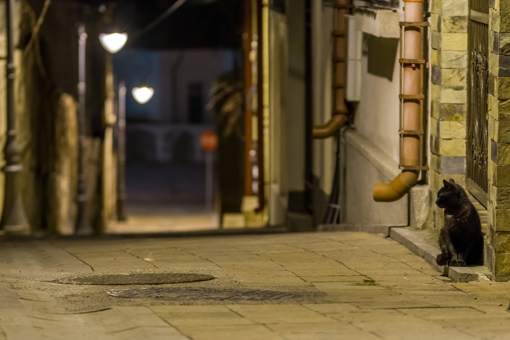 Photograph by Luca Arsinel