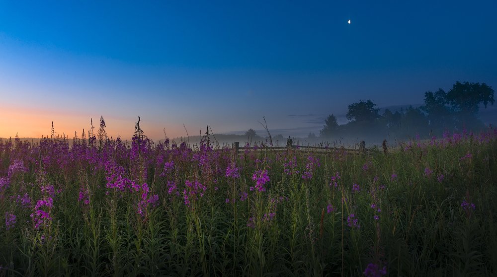 Photograph by Михаил Карпов