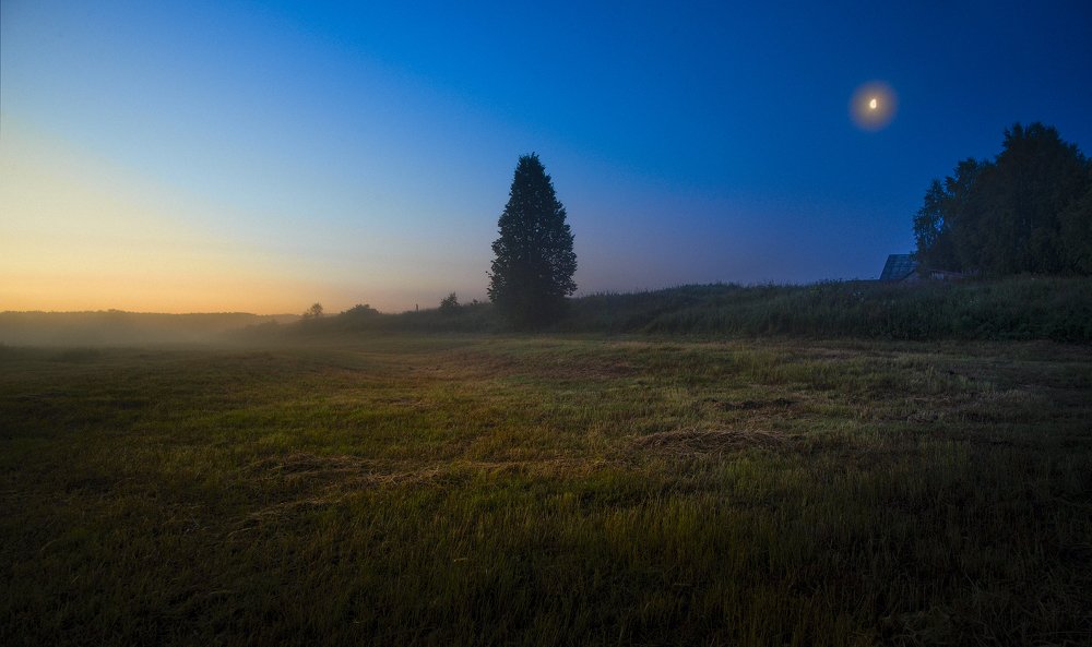 Photograph by Михаил Карпов