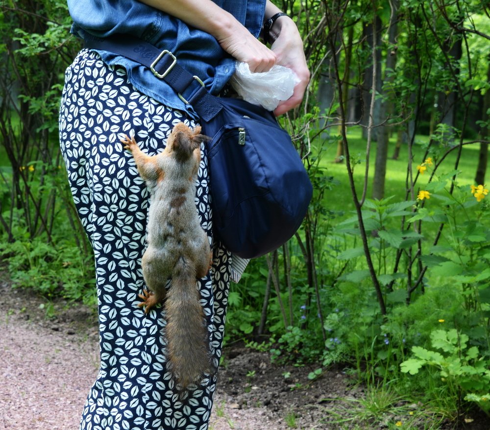 Photograph by Владимир Брагилевский