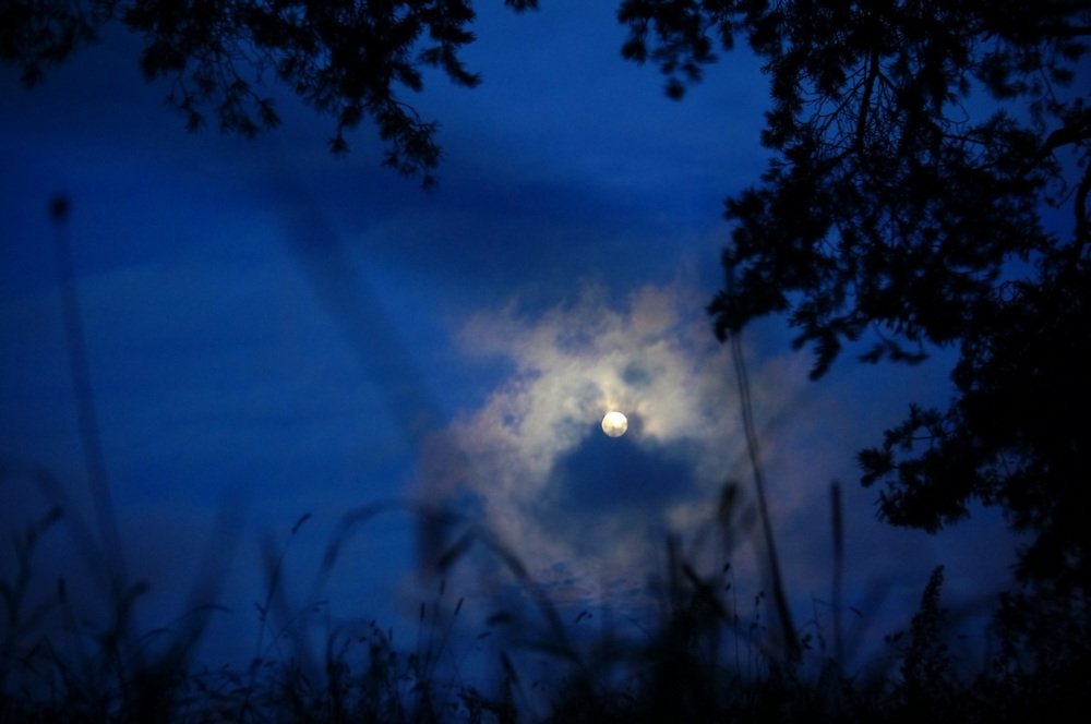 Фотография автора Valery Bel@kov