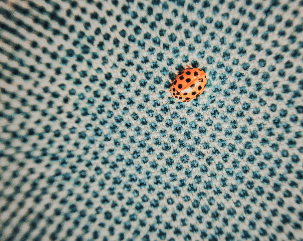 Photograph by Ekaterina Fadeeva