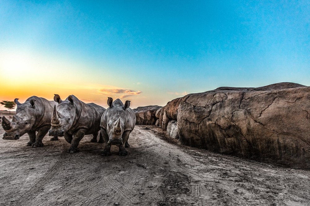 WE STRONG AS THIS ROCK