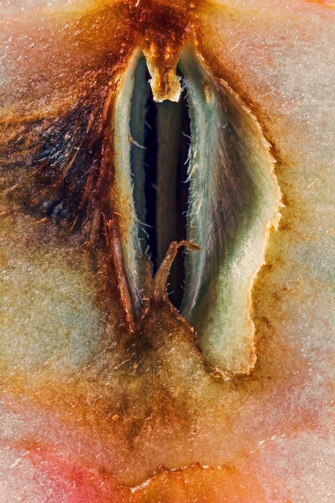 Photograph by Алексей Федоров