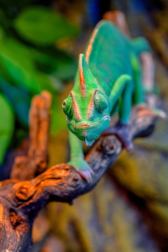 Photograph by Аркадий