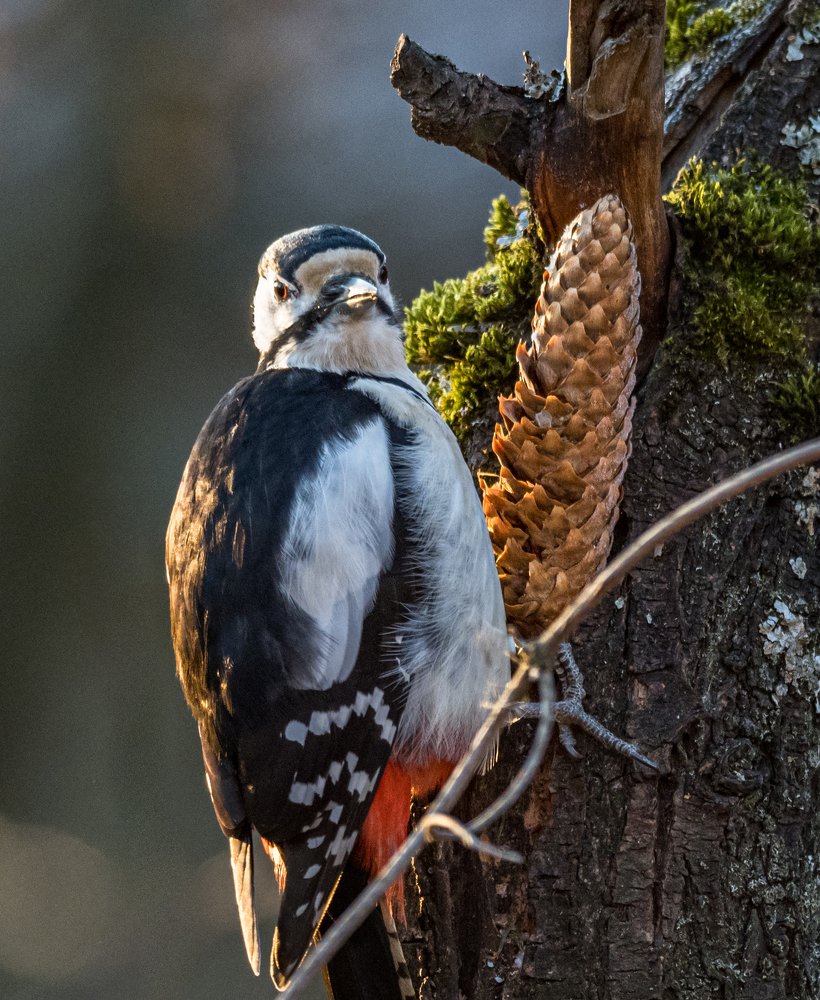Photograph by Курлянцев Алексей