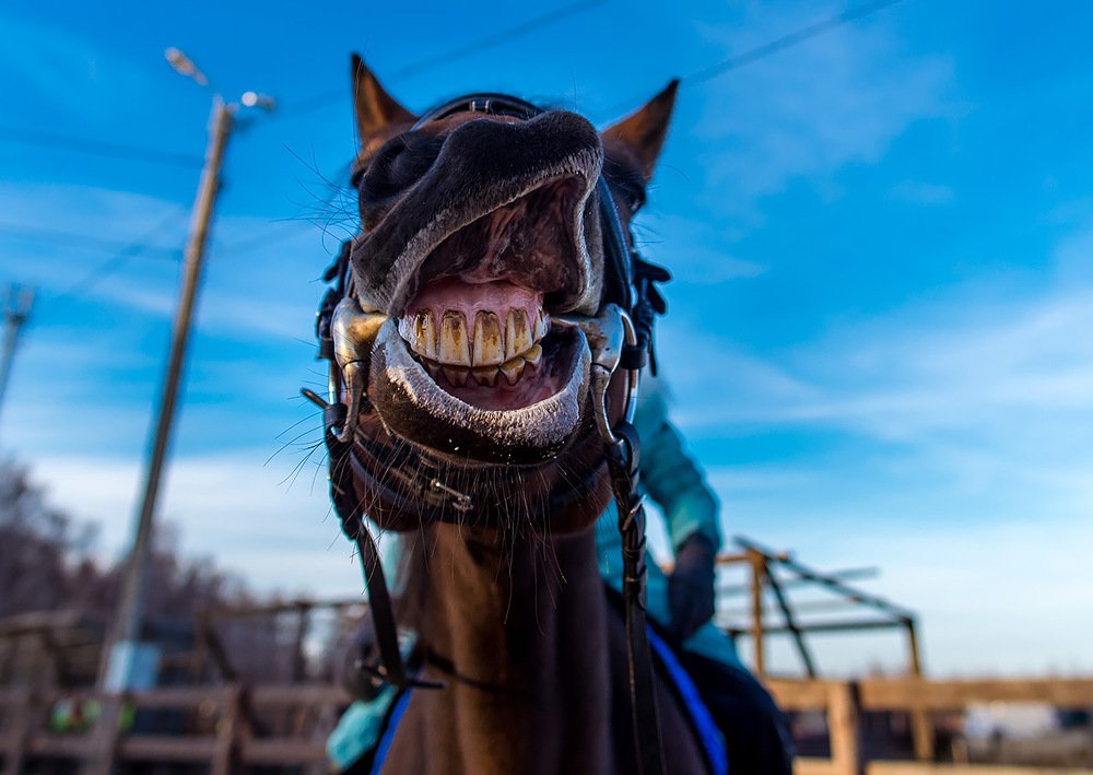 Photograph by Людмила Ковалева