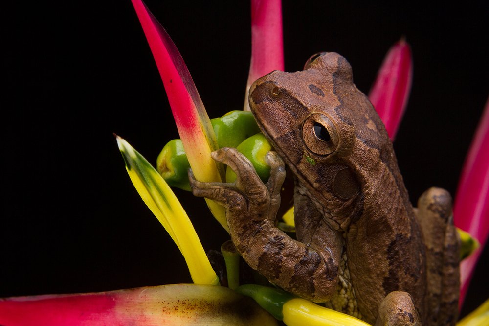 Photograph by Azaria Ruiz Villalobos