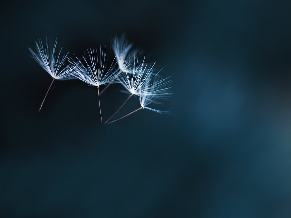 Photograph by Юлиана Джус