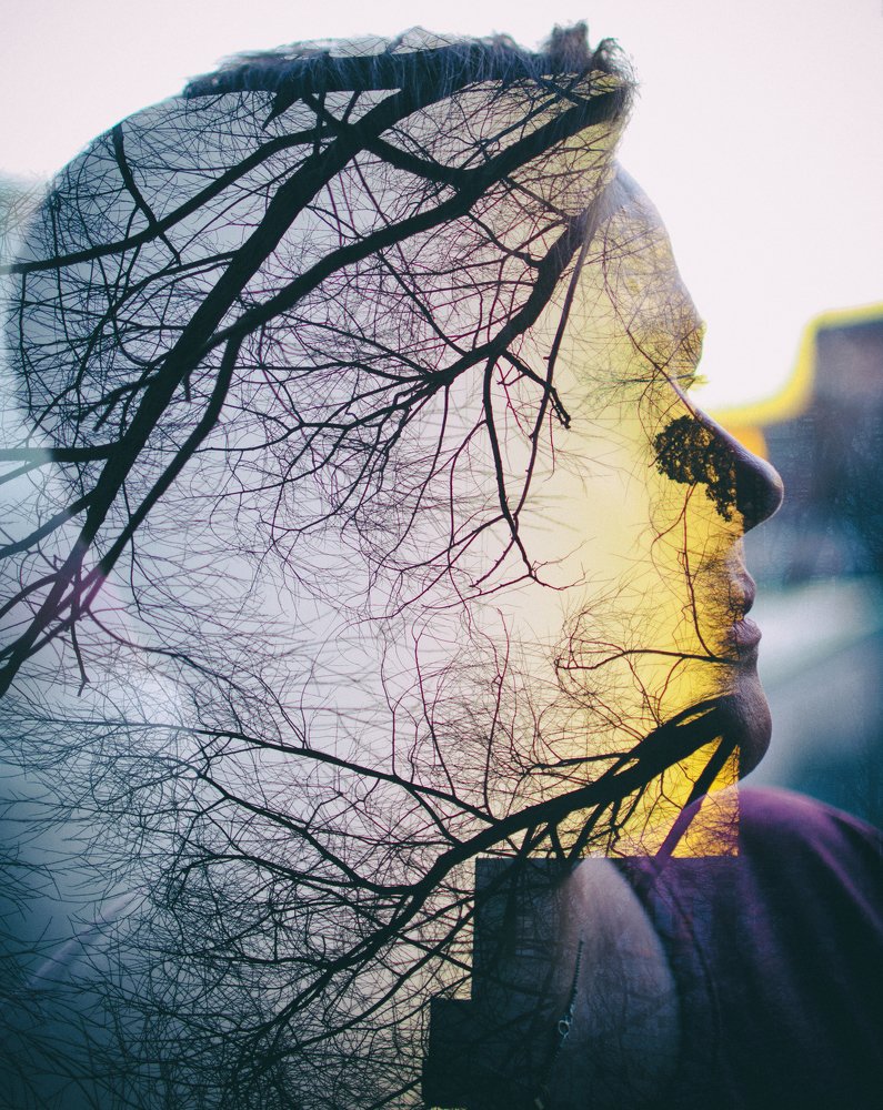 Photograph by Михаил Серебренников