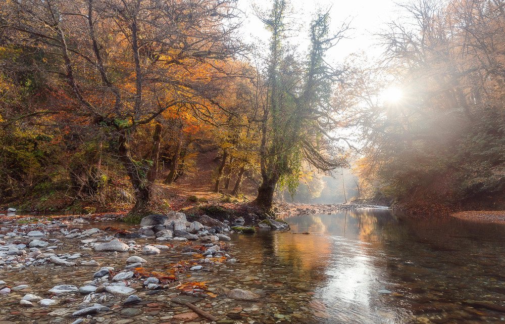 Photograph by Сергей Шабанов