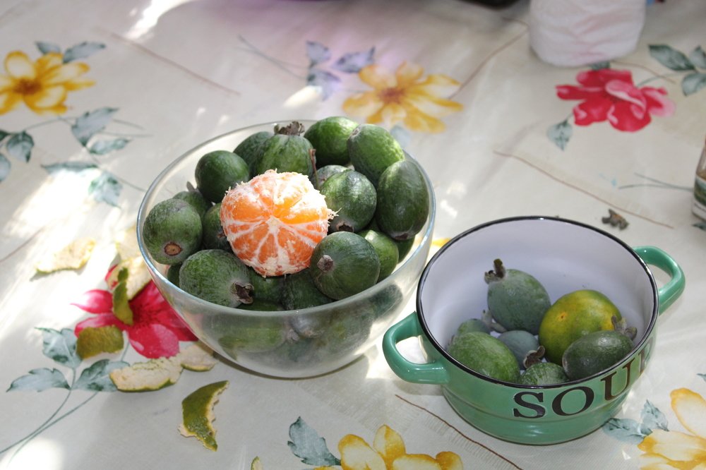 Photograph by Николай Немчанинов