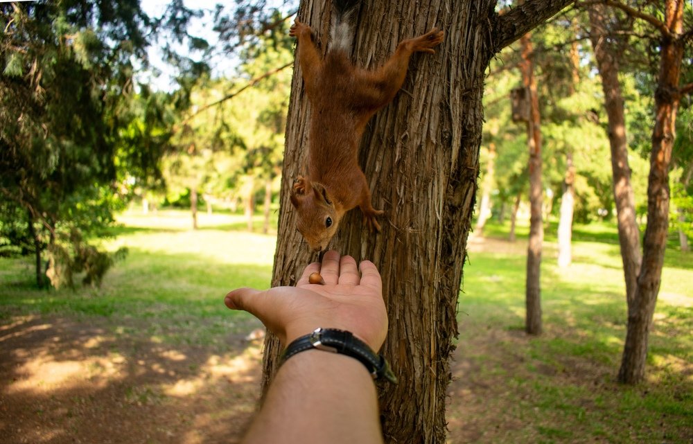 Photograph by Эдуард Масленников
