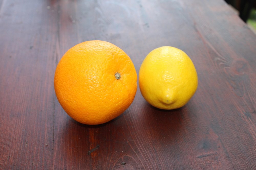 Photograph by Николай Немчанинов