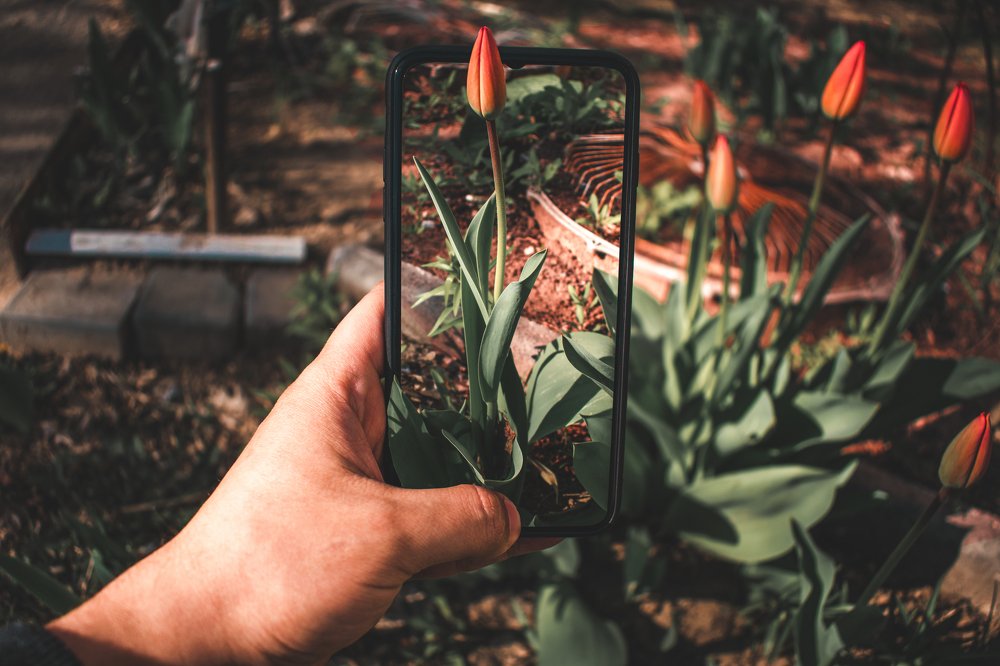 Photograph by Эдуард Масленников