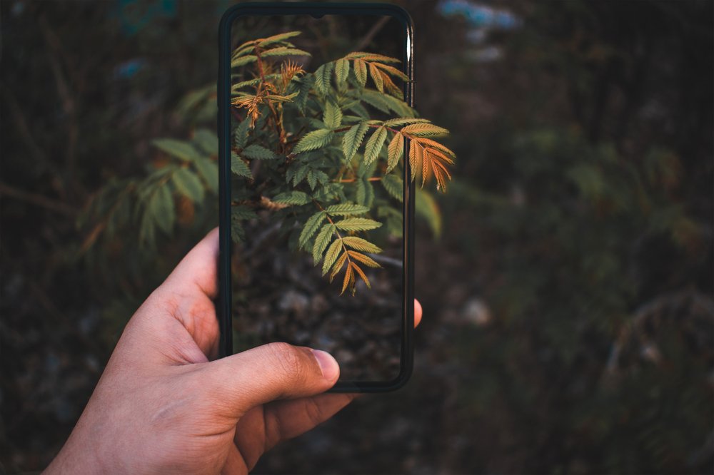 Photograph by Эдуард Масленников