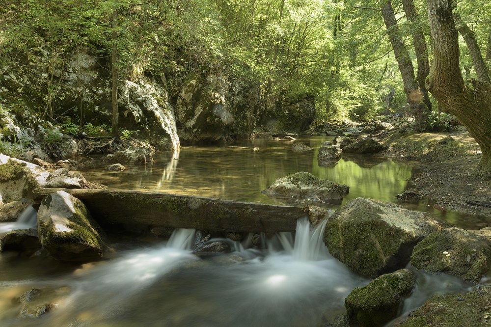 Photograph by Dragan Cerovic