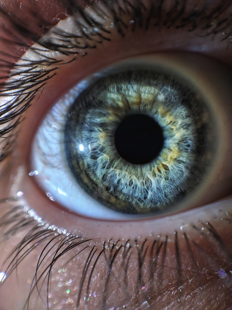 Photograph by Алексей и Юлия Дарьины