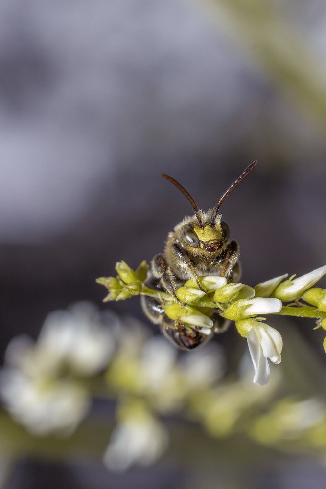 Photograph by Arta Joma