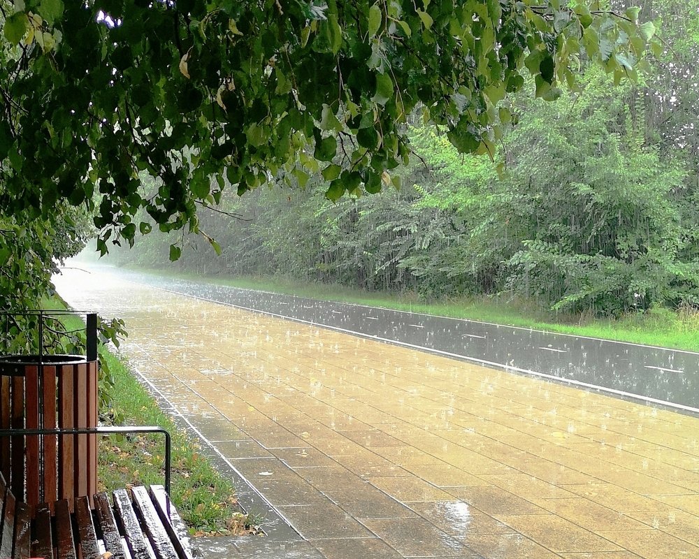 Ливень в августе...