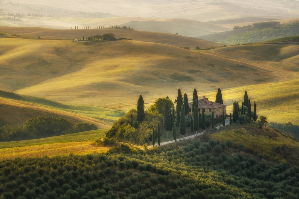 Photograph by Dominik Pflumm