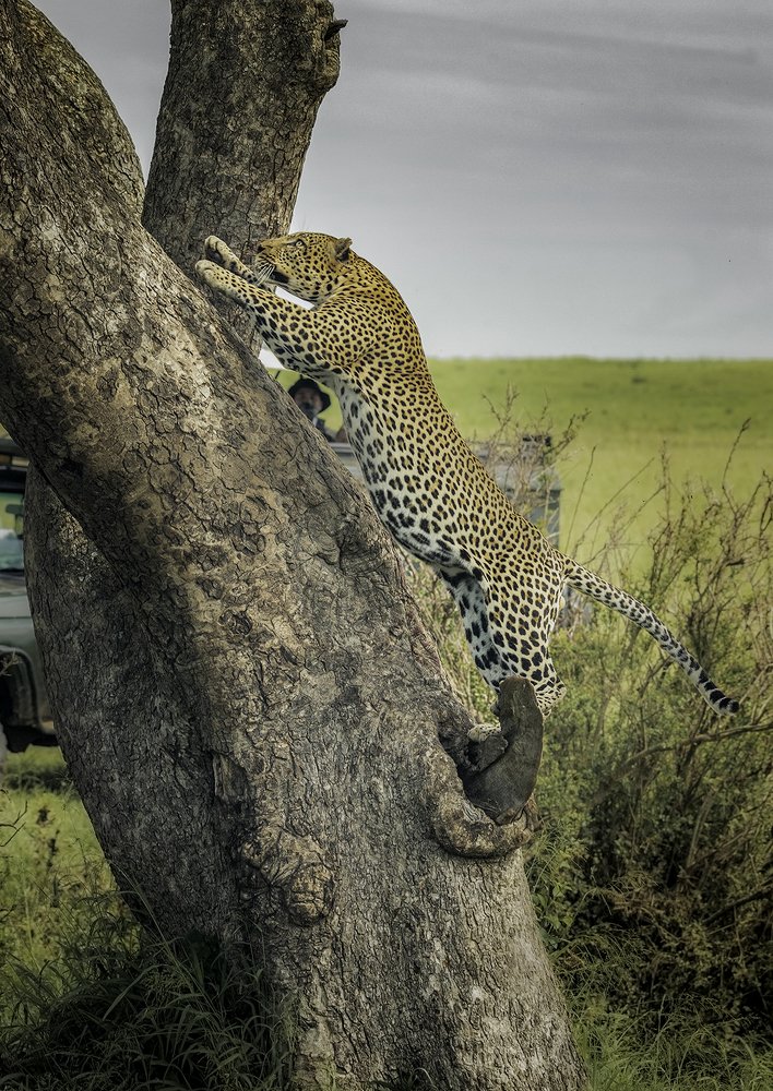 Photograph by Soumen Ghosh