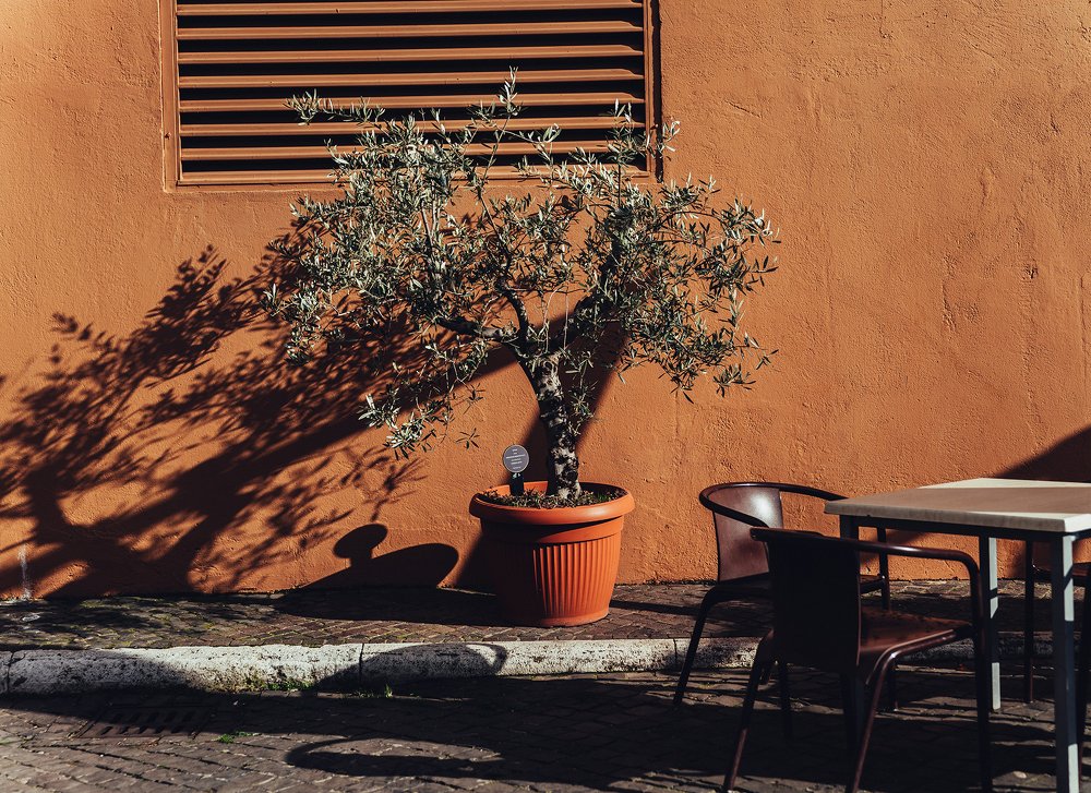 Photograph by Наталья Мишина