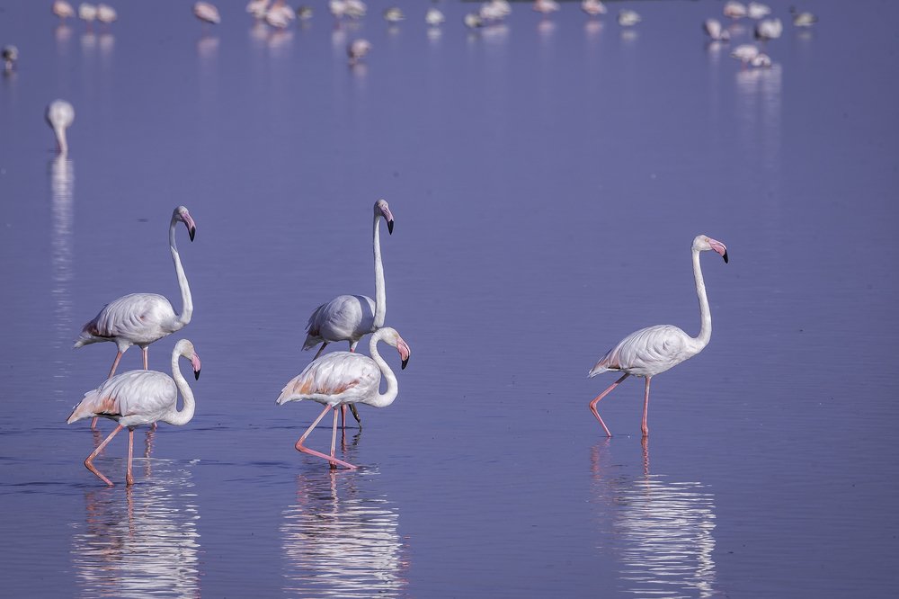 Photograph by Soumen Ghosh