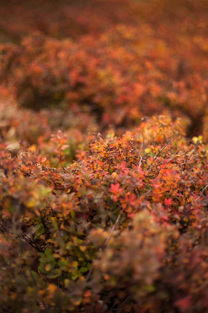 Photograph by Екатерина Панина