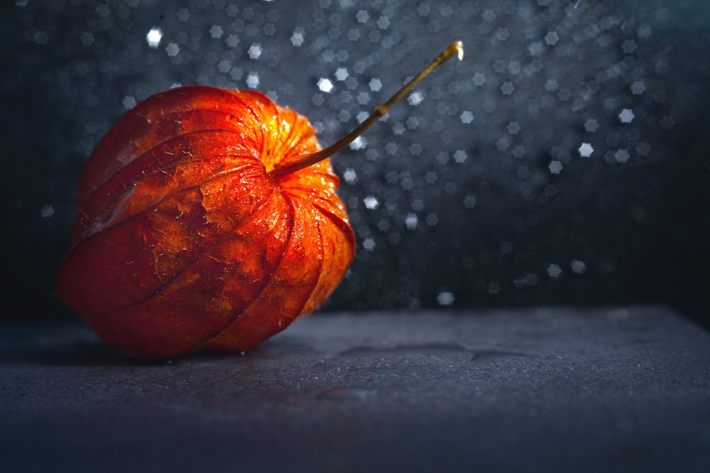 Photograph by victoria chaikova