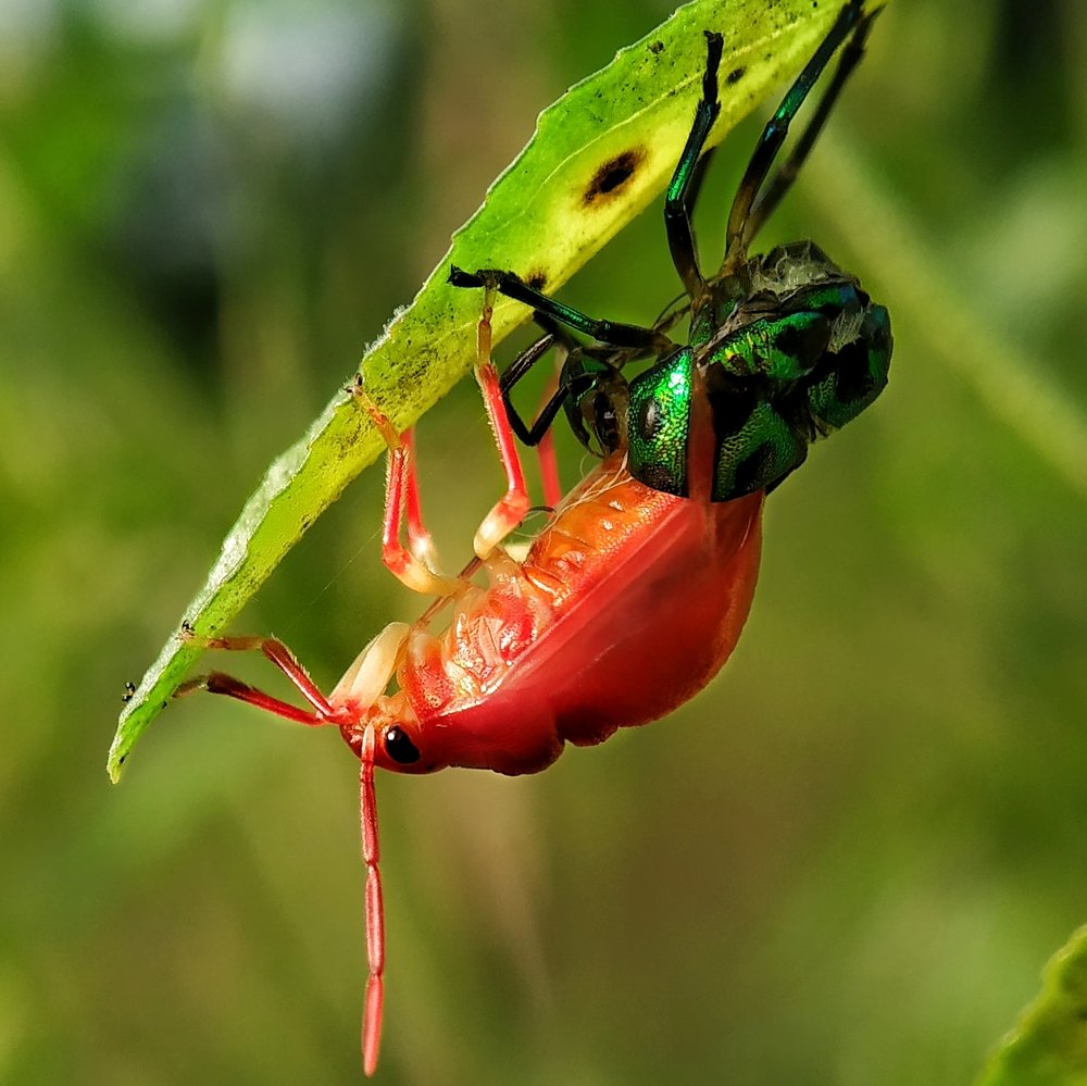 Photograph by Subrata Parui