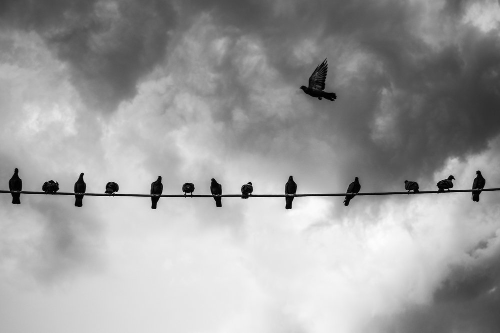 Photograph by Chetan Verma