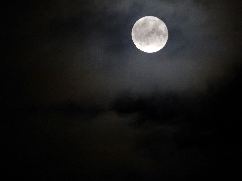 Фотография автора Юлия Кучеренко