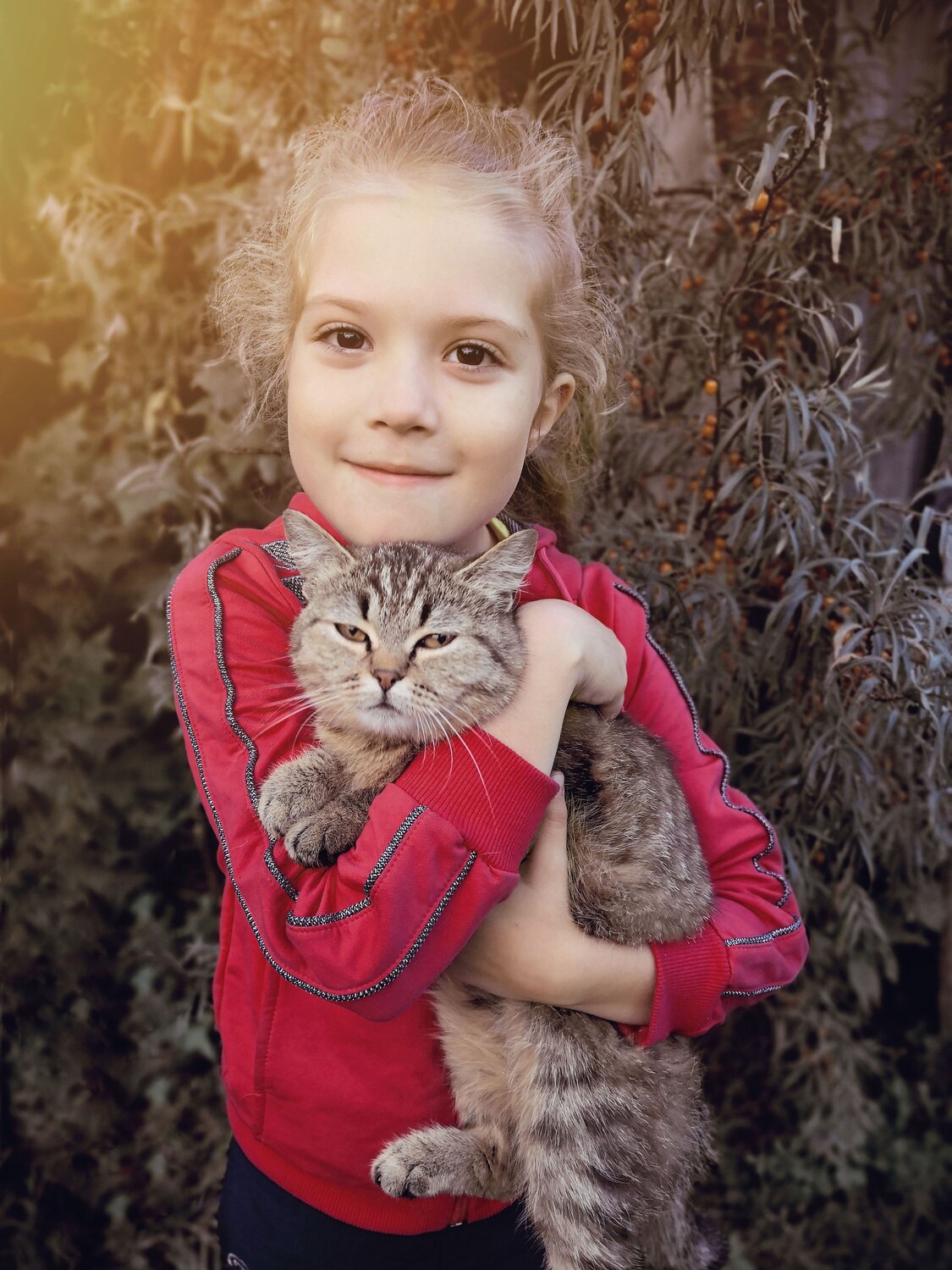 Photo #3928403
