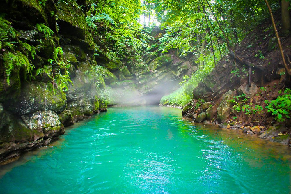 Photograph by Stephen