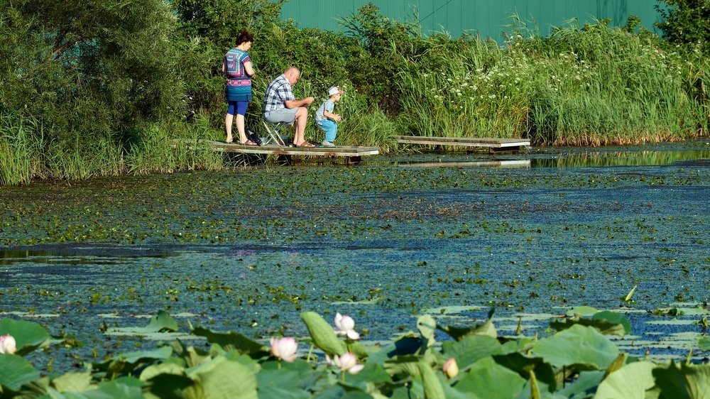 Давай, клюет!