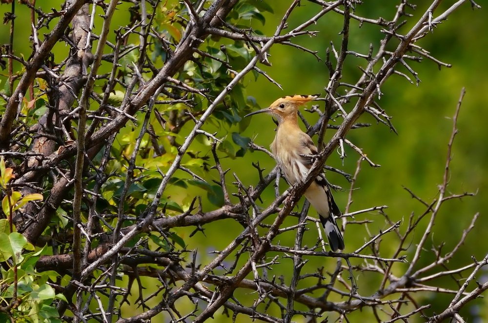 Photograph by Дейнекина Галина