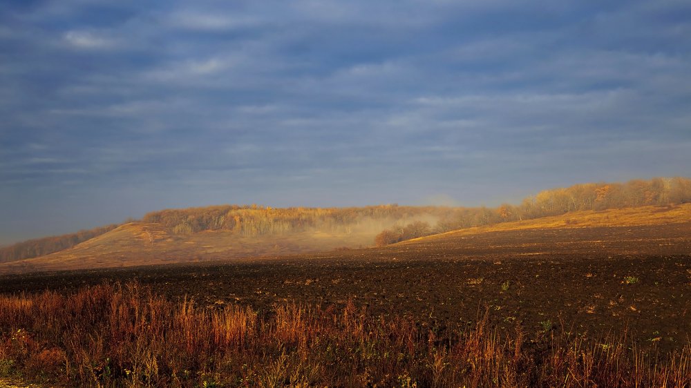 Художник - осень