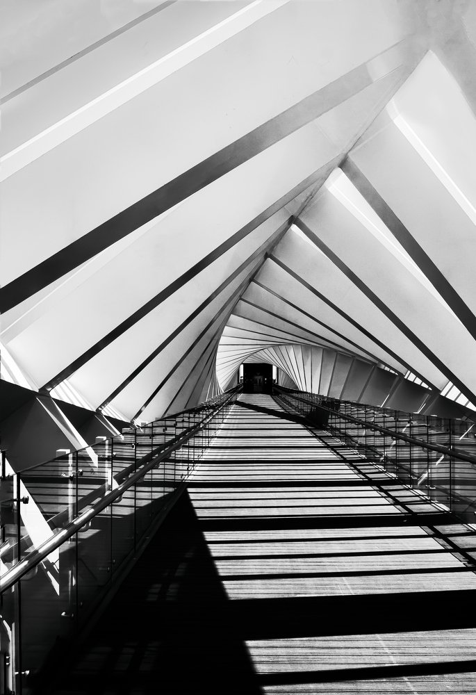 Photograph by Khalid Najib