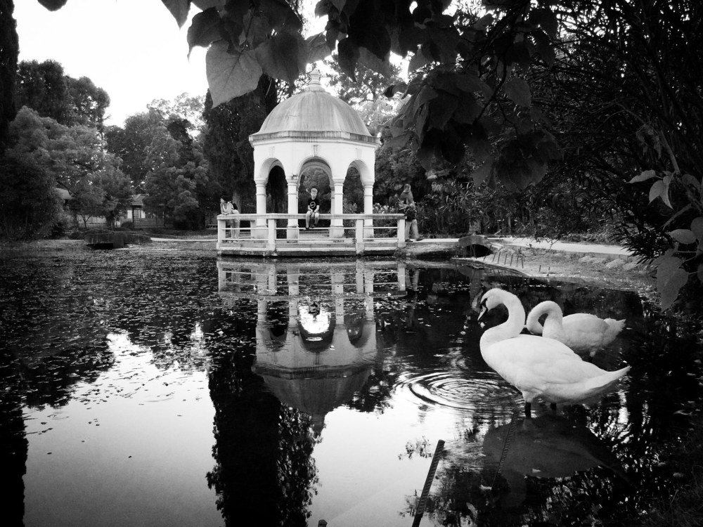 Photograph by Антонина Копытина