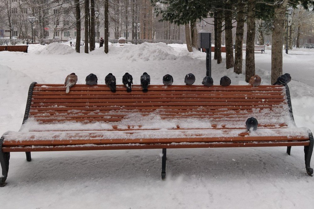 Photograph by Елена Шафикова