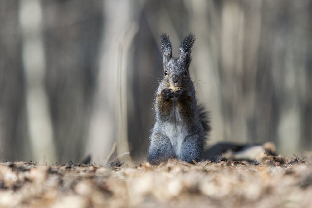 Photograph by Сергей Чупахин