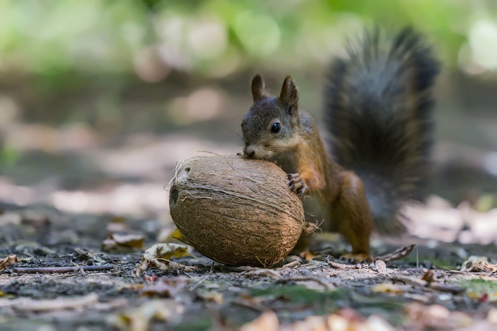 Photograph by Сергей Чупахин